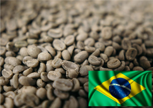 Brazil Santos Unroasted Green Coffee (100% Arabica)